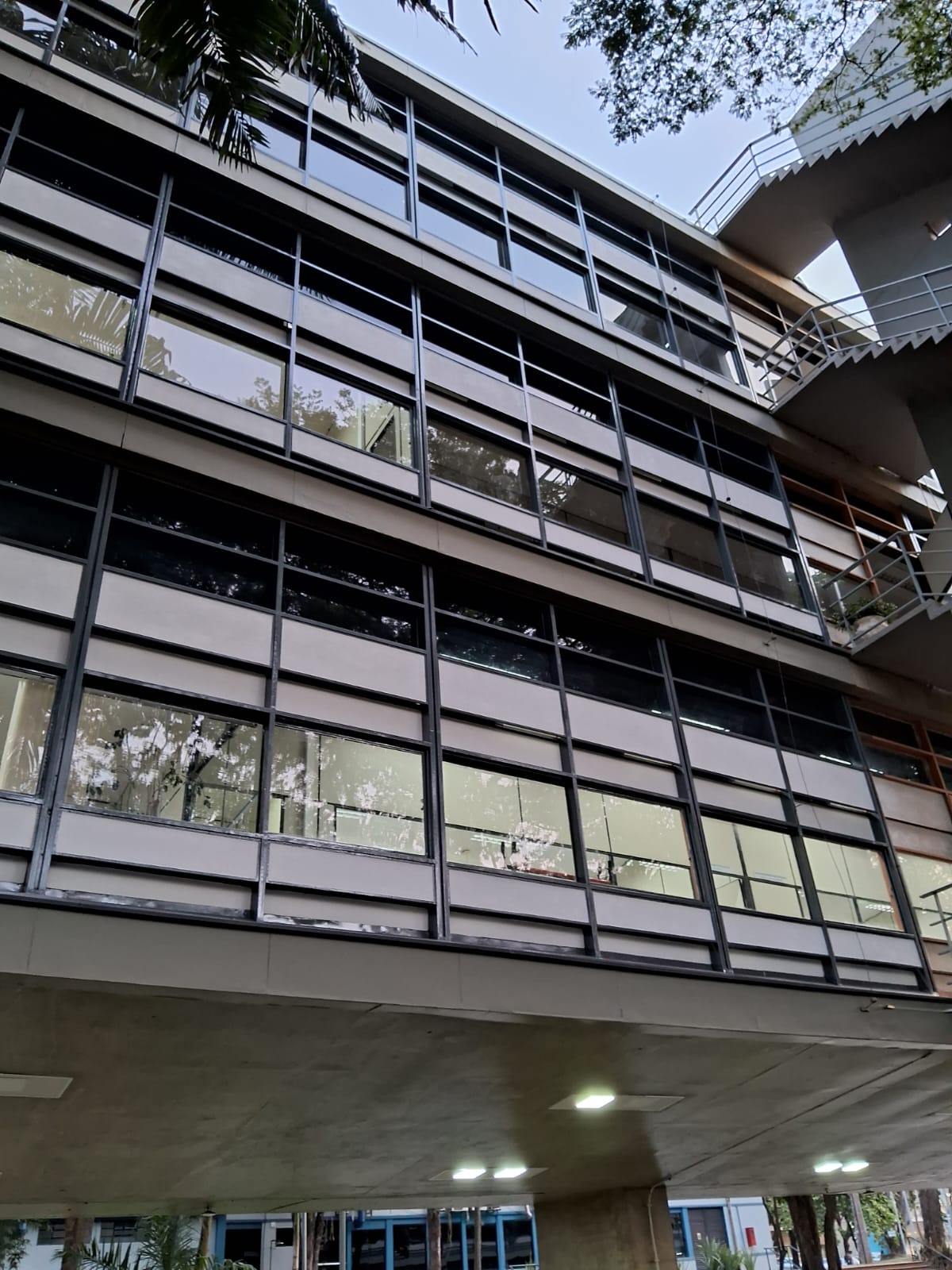 Espelhado Unicamp Pintura 1